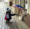 Ден на добротата - СУ Никола Войводов - Враца