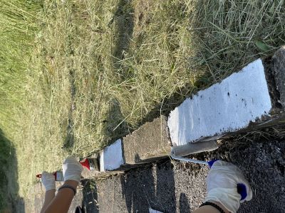 Oбновяване на площадката по БДП 5