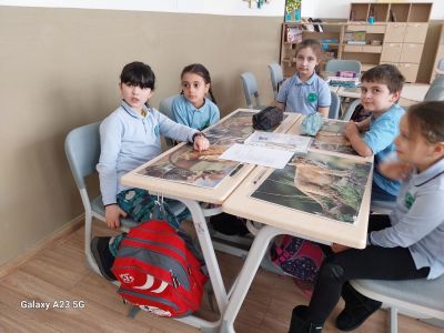 Училищен кръг на Националната викторина по БДП 3