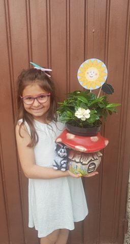 20 - СУ Никола Войводов - Враца